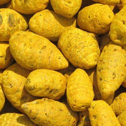Turmeric Bulb