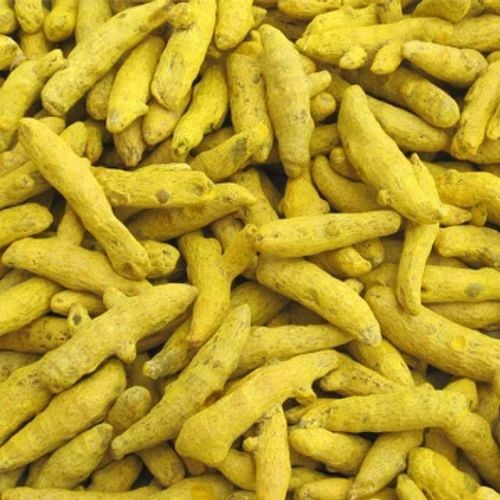 Yellow Turmeric Finger