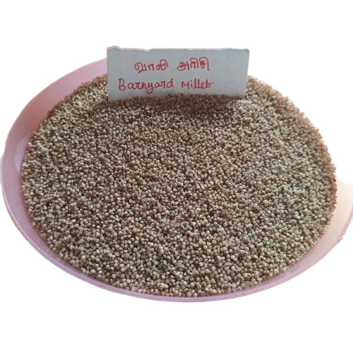 Barnyard Millet