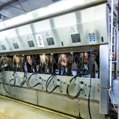 Milking Parlour - Material: Aluminum