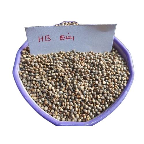 Millet Seed