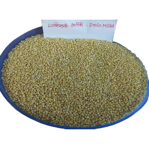 Proso Millet Rice