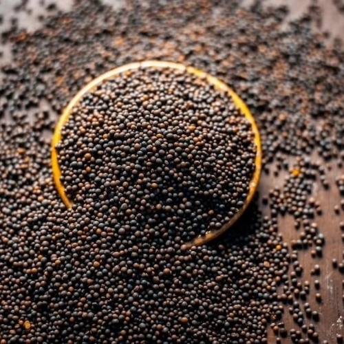 Black Mustard Seeds 