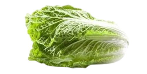 Chinese Cabbage
