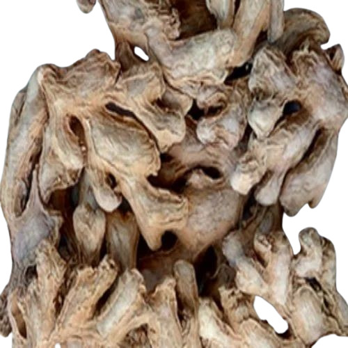 Dried Ginger