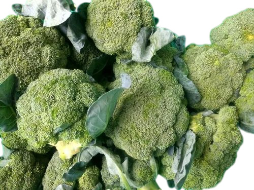Fresh Broccoli