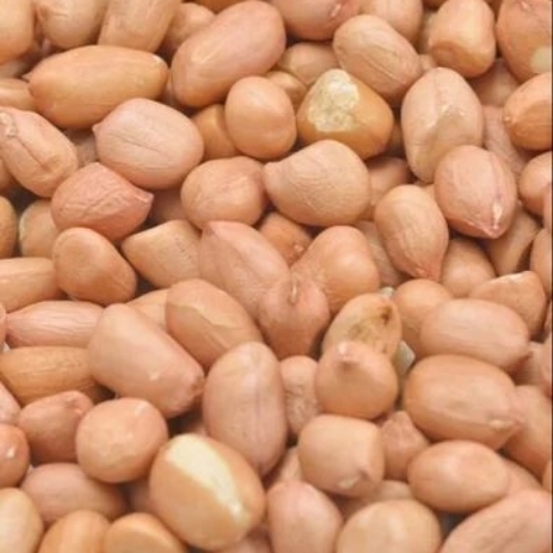 Tasty Ground Nuts