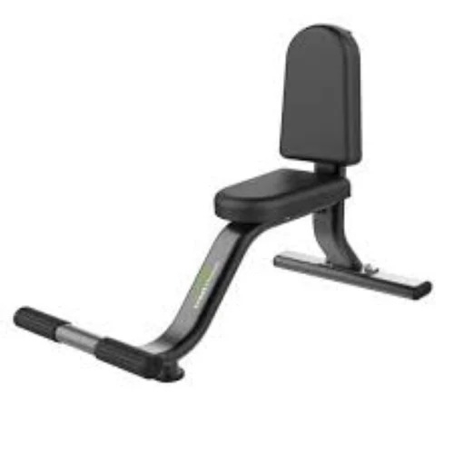 Exercise Fitness Benches