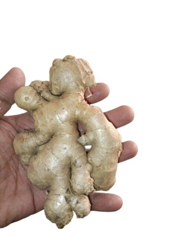 Fresh Ginger