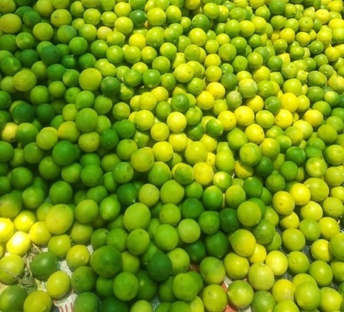 Fresh Lemon