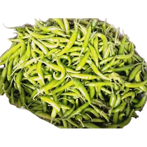 Green Chilli