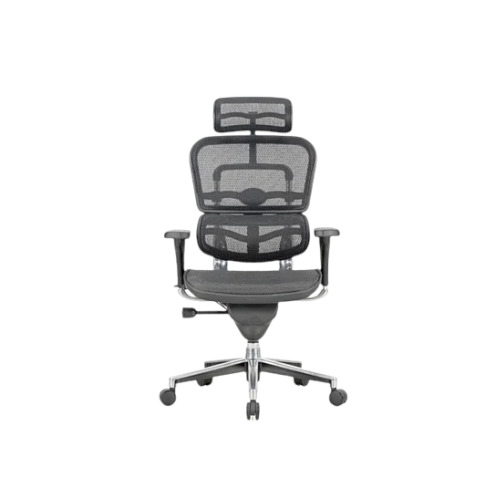 Mesh Executive Chair