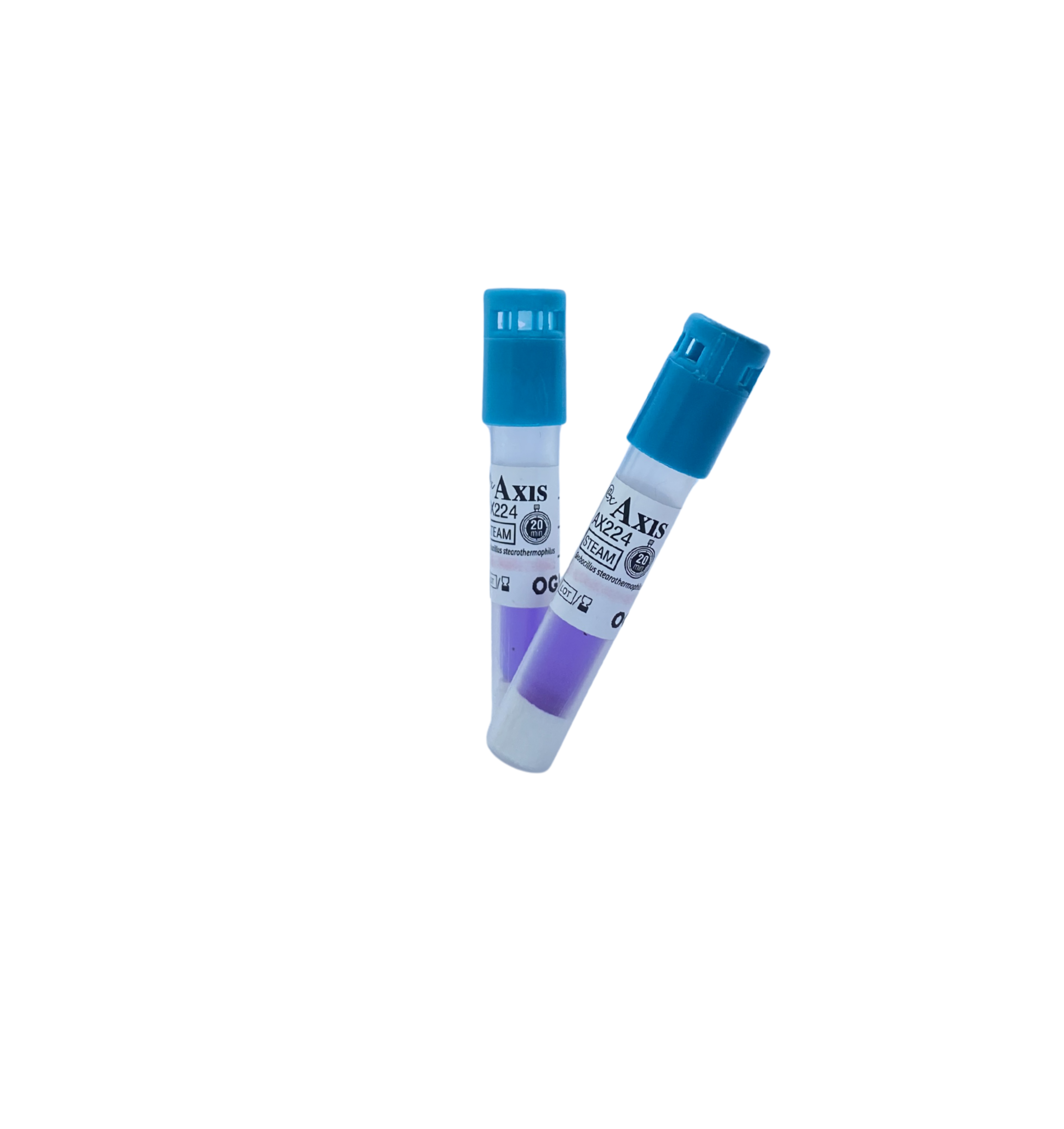 Steam Biological Indicator