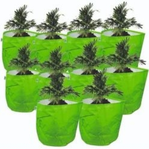 15 X 9 Green Grow Bag (Pack Of 10)