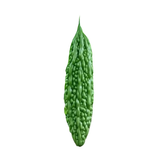 Bitter Gourd