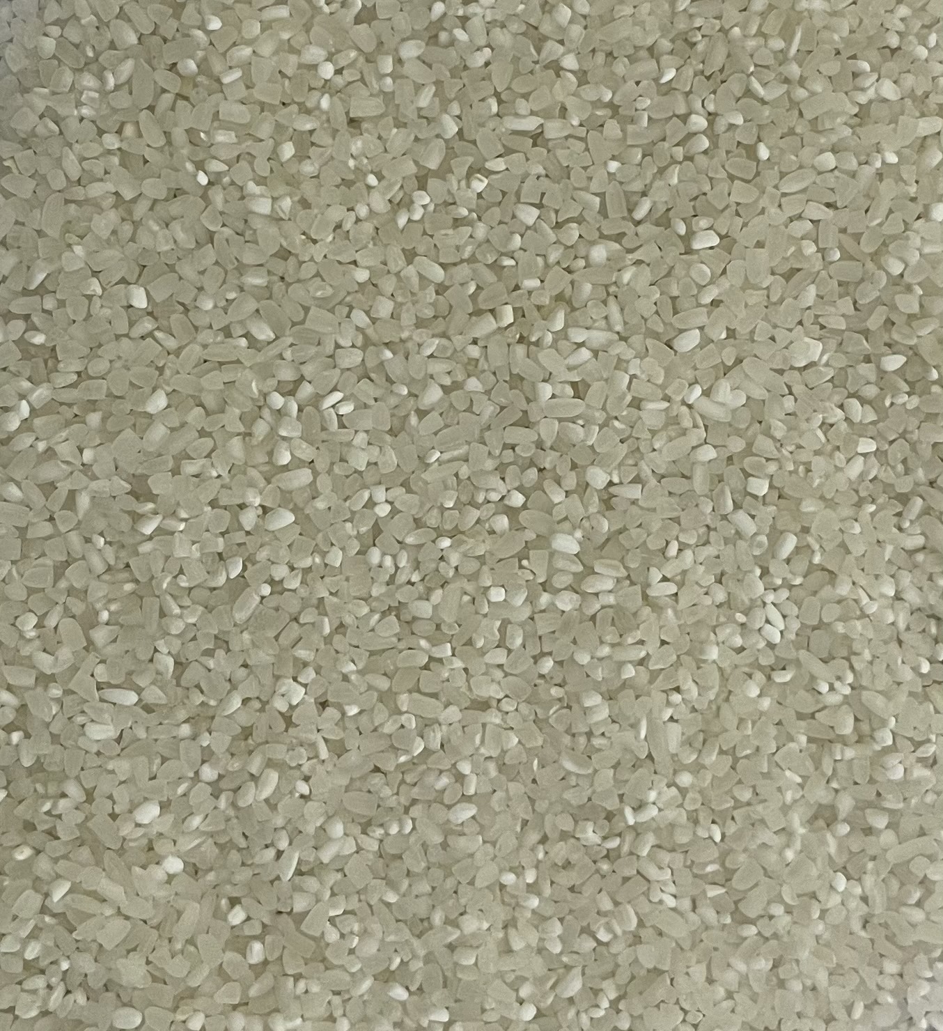 Broken Rice 