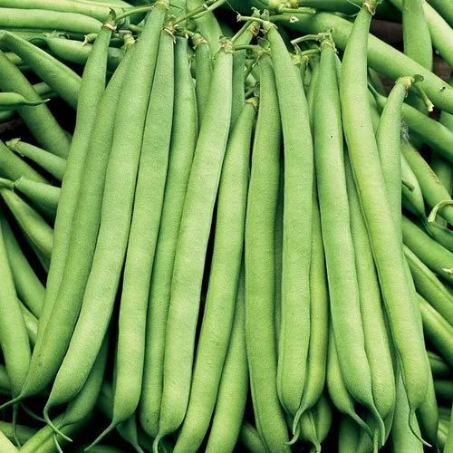 Fresh Beans