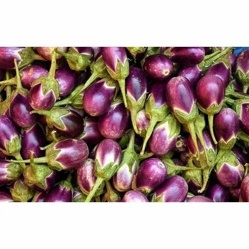 Fresh Brinjal
