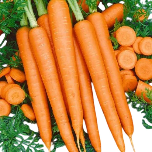 Fresh Carrot
