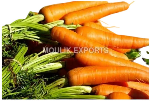 Fresh Carrot