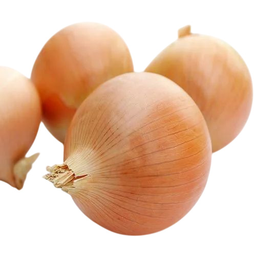 Fresh Onions