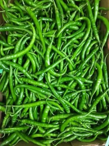G4 Green Chillies By Moulik Exports