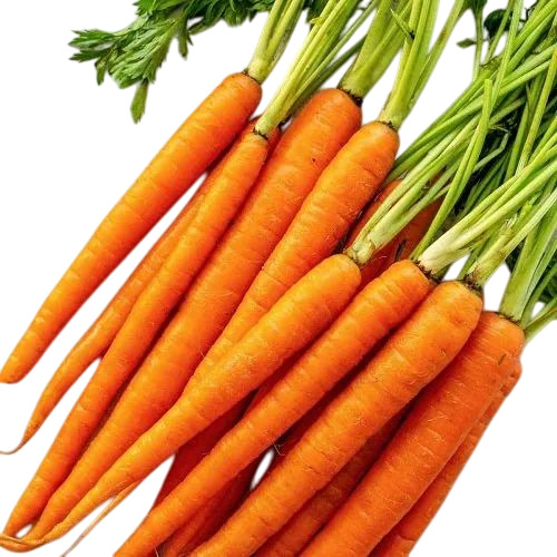 Red Carrot