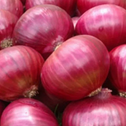 Red Onion