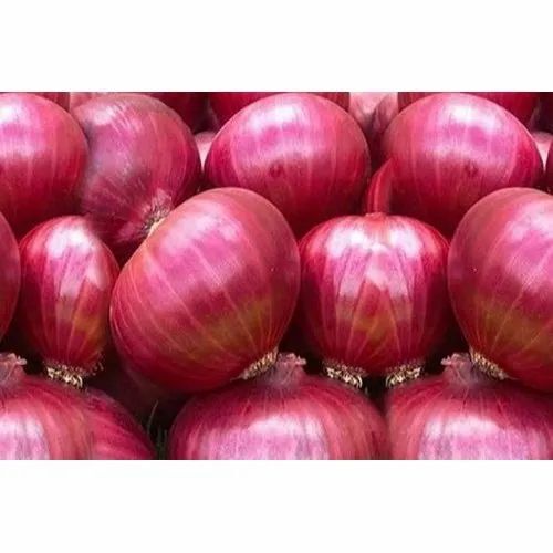 Red Onion