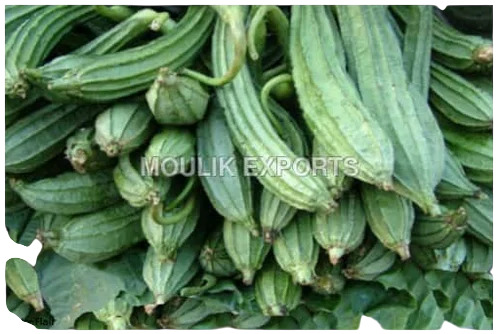 Ridge Gourd
