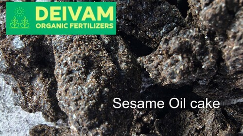 Sesame Oil Cake