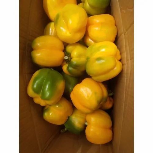 Yellow Fresh Capsicum