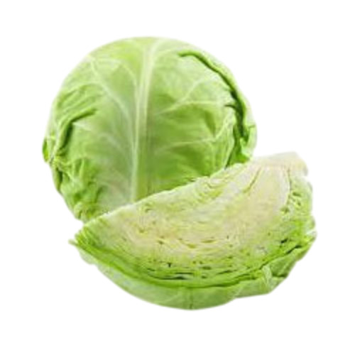 Fresh Cabbage