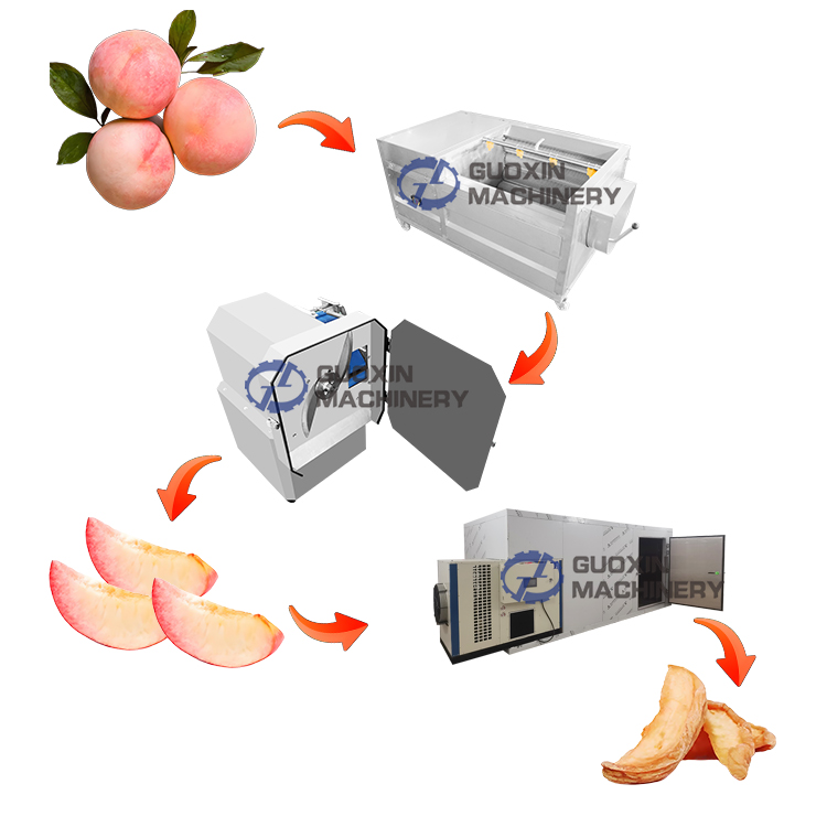 Fruit Dryer Machine