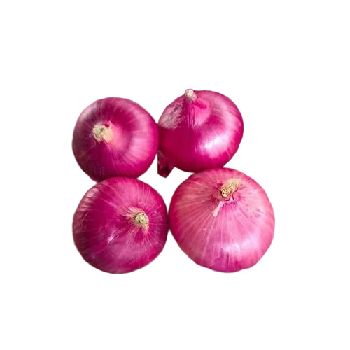 Hybrid Red Onion