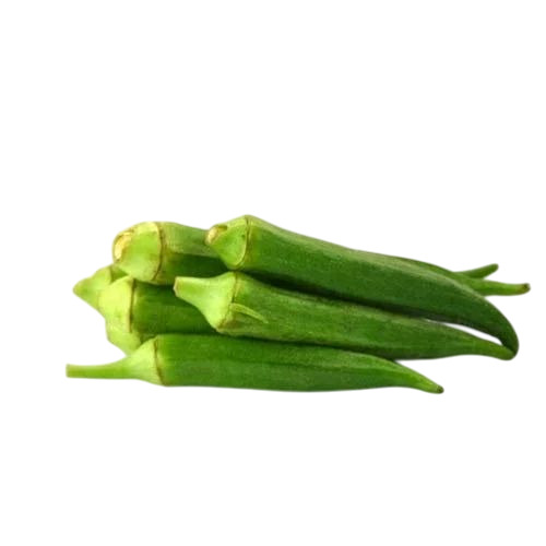 Lady Finger