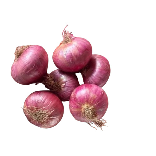 Nashik Garva Onion