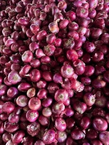 Onions