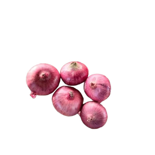 Organic Red Onion