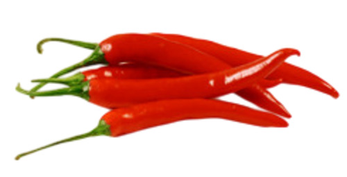 Red Chilli