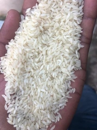Sona Masoori Rice
