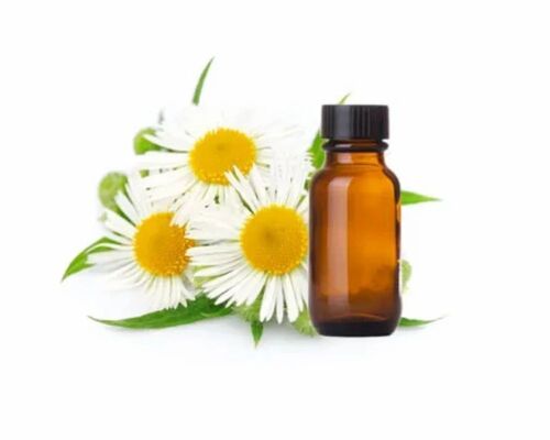 Chamomile German Natural Oil