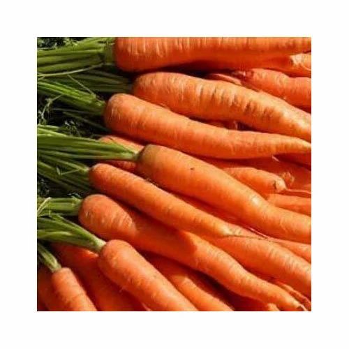 Fresh Carrot