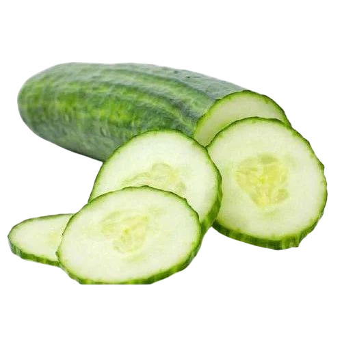 Fresh Cucumber