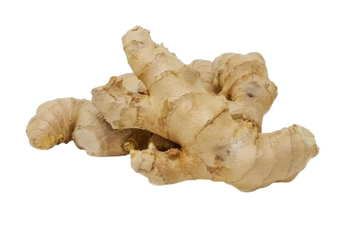 Fresh Ginger