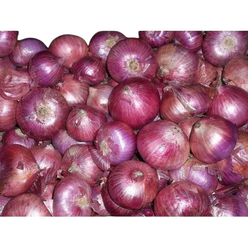 Fresh Red Onion
