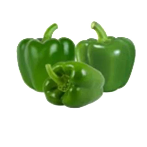 Green Capsicum