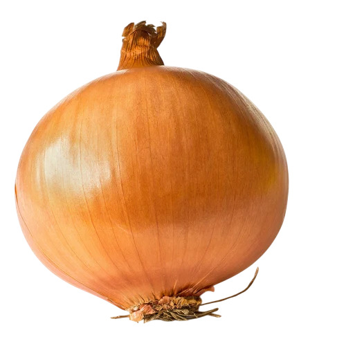 Yellow Onion