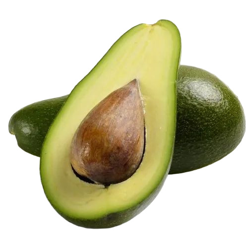 Avocado Fruit