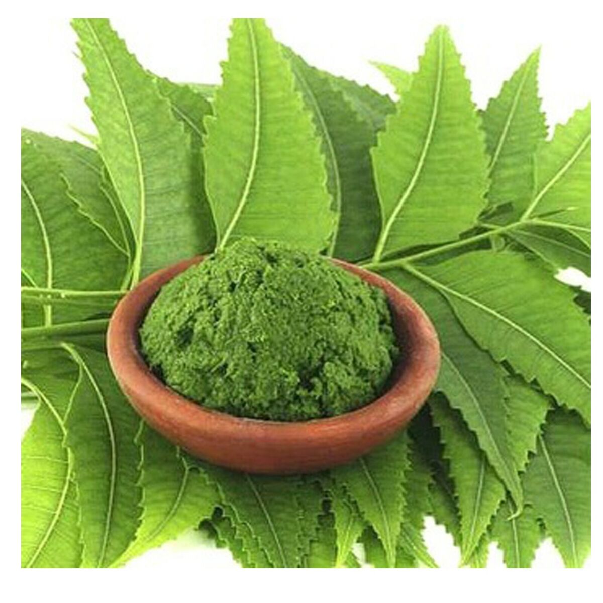 Neem Powder - Additives: No